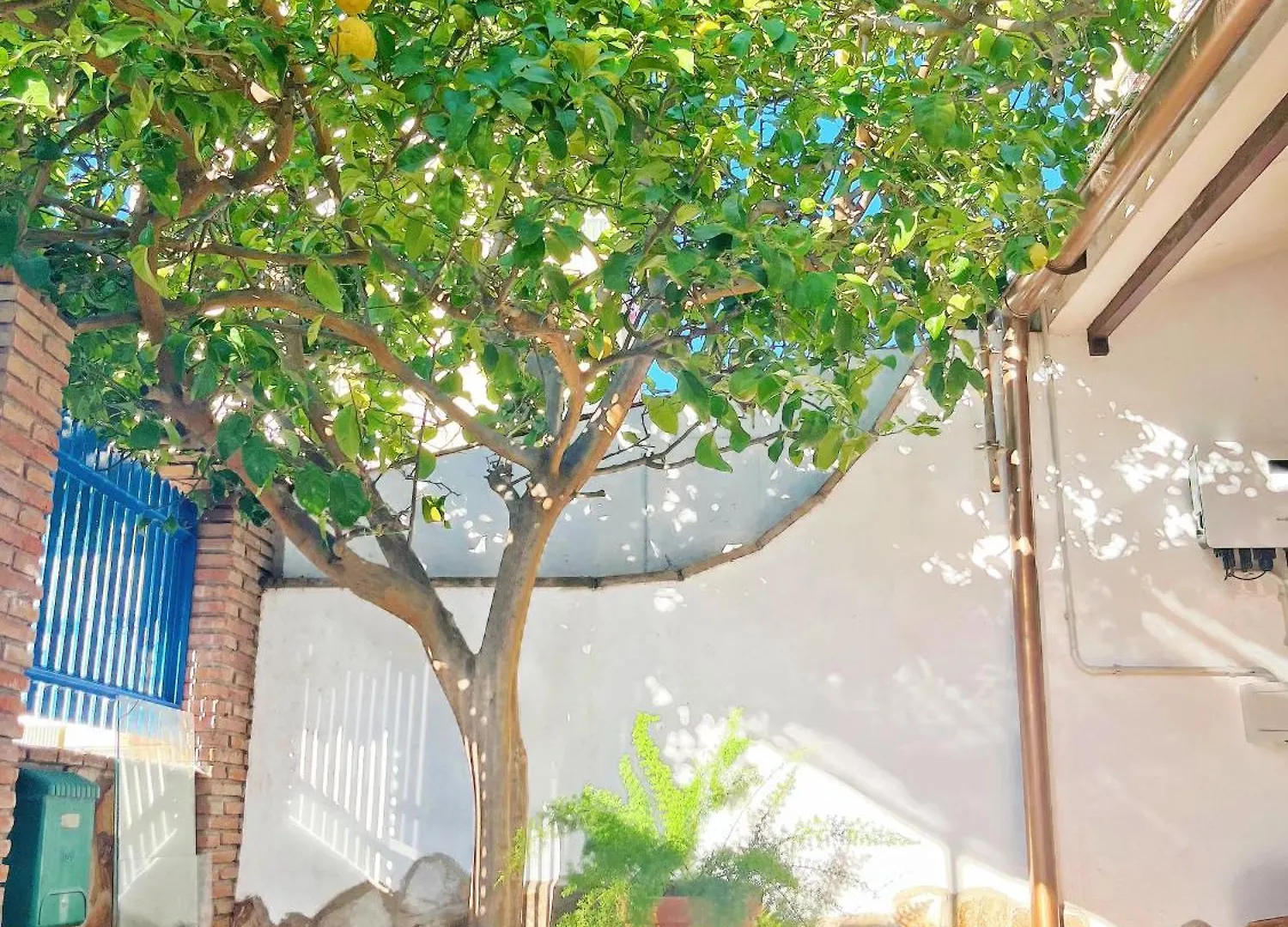 Centro Malaga-Casa Del Limon Lejlighed Spanien
