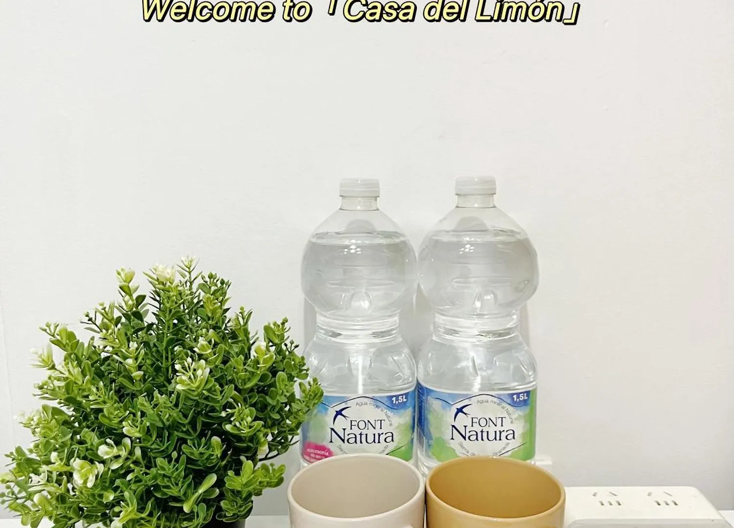 Centro Malaga-Casa Del Limon公寓 马拉加